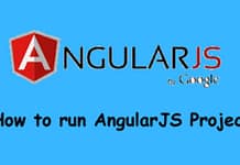 run angularJS project