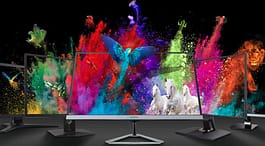 What is an IPS Monitor?