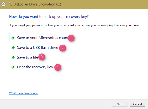 How to set drivers password on Windows