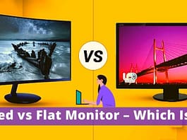 Curved vs Flat Monitor – Which Is Best Curved vs Flat Monitor