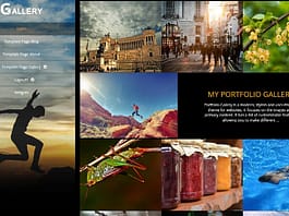 How to Create a Stunning WordPress Gallery? How to Create a Stunning WordPress Gallery